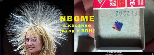 индика Армянск