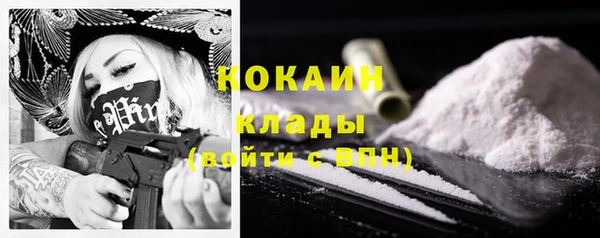 индика Армянск