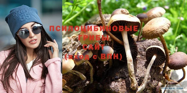 молекула духа Балабаново