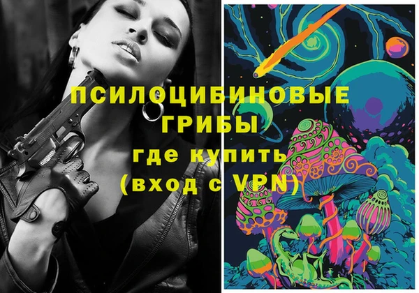соль ск Балахна