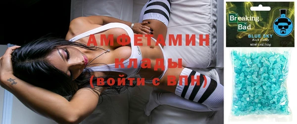 индика Армянск