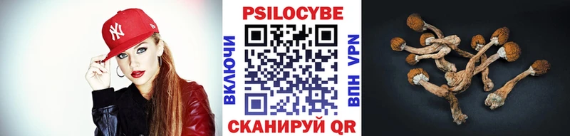 Галлюциногенные грибы прущие грибы  ссылка на мегу вход  Сибай 
