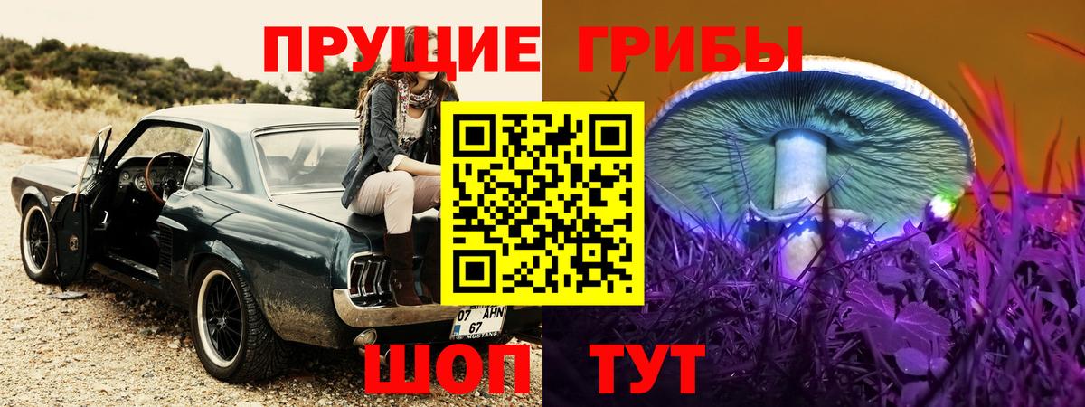 Галлюциногенные грибы MAGIC MUSHROOMS Сибай