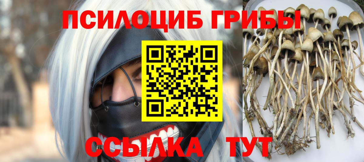 Сибай  Псилоцибиновые грибы Cubensis  Псилоцибиновые грибы Psilocybine cubensis  Вход с VPN 